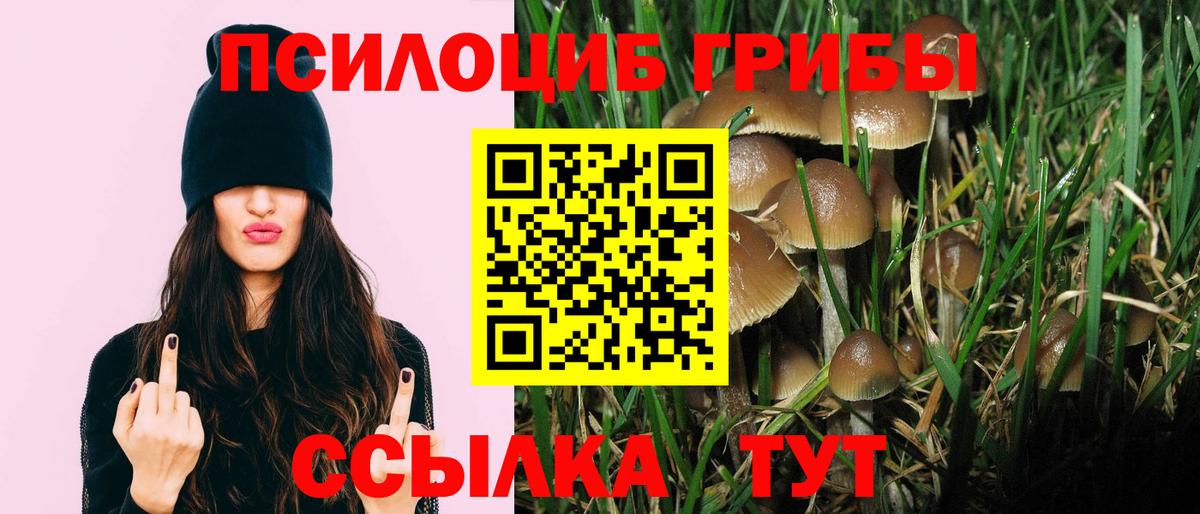 Псилоцибиновые грибы MAGIC MUSHROOMS Узловая