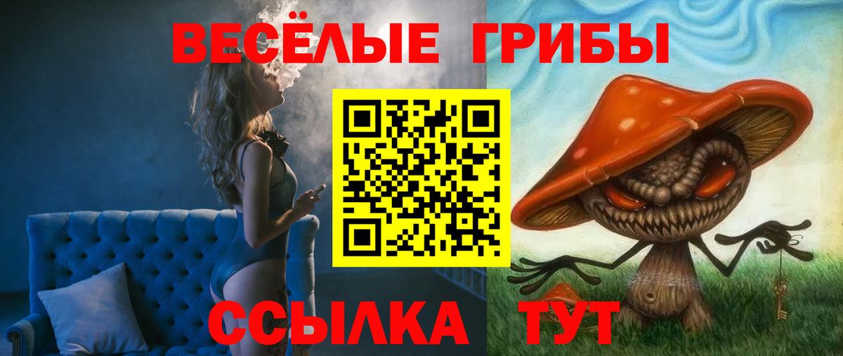 Галлюциногенные грибы прущие грибы  Вход с VPN  Узловая 